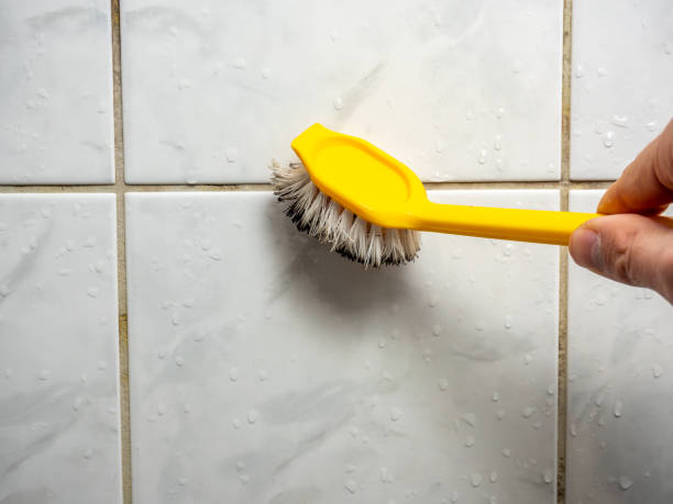 Best Certified Mold Removal  in Kent City, MI