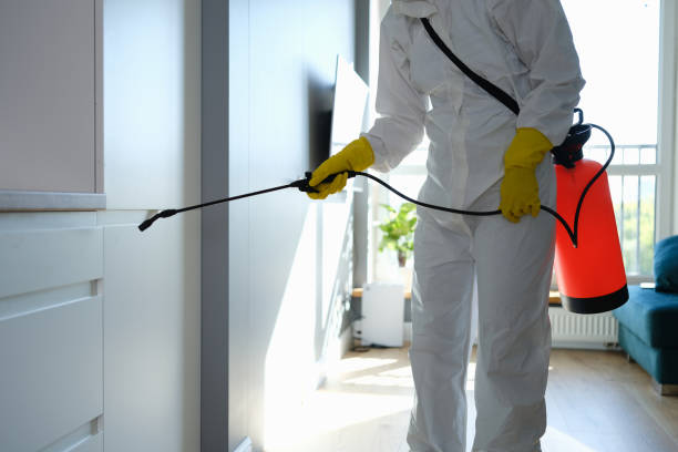 Crawl Space Mold Removal in Kent City, MI
