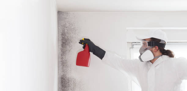 Best Mold Testing  in Kent City, MI